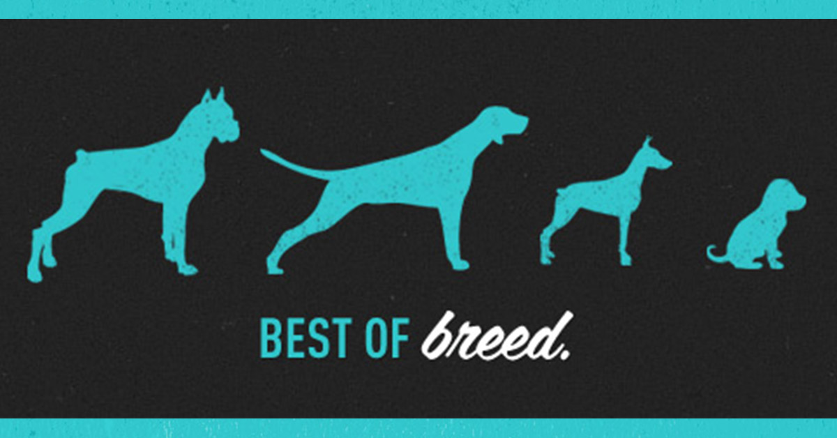 https://straydogbranding.com/wp-content/uploads/2016/09/Best-of-Breed-1200x628.jpg