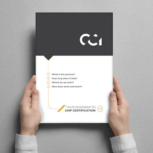 https://straydogbranding.com/wp-content/uploads/2019/03/CCI_rd_map_cover_mkup.jpg