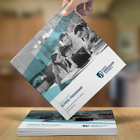 https://straydogbranding.com/wp-content/uploads/2019/03/WVS-Viewbook.jpg