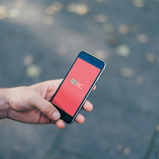 https://straydogbranding.com/wp-content/uploads/2019/04/Res-Doc-iPhone-mock-up.jpg